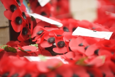 Remembrance Sunday Poppies